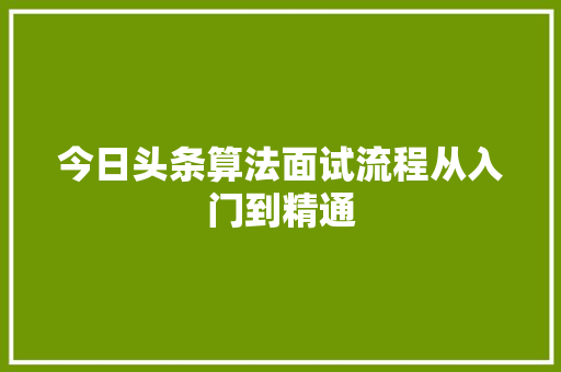 今日头条算法面试流程从入门到精通 英文谷歌算法