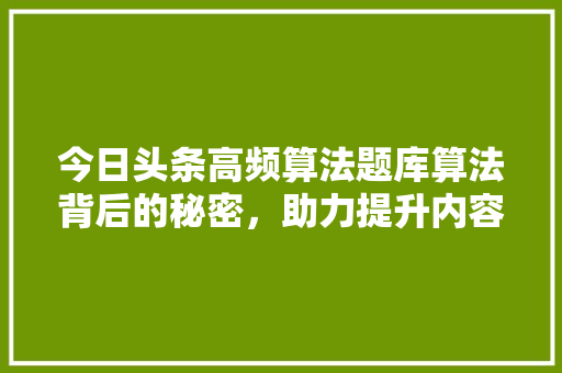 今日头条高频算法题库算法背后的秘密，助力提升内容创作水平