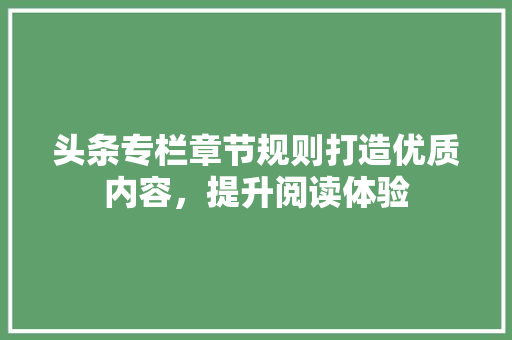 头条专栏章节规则打造优质内容，提升阅读体验