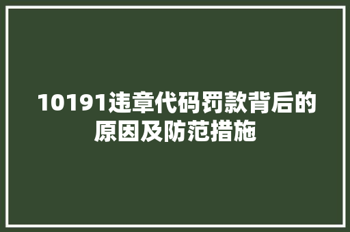 10191违章代码罚款背后的原因及防范措施 网站开发