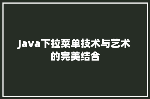 Java下拉菜单技术与艺术的完美结合