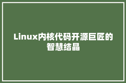Linux内核代码开源巨匠的智慧结晶 头条优化
