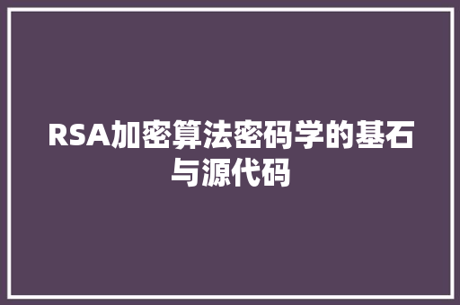 RSA加密算法密码学的基石与源代码 小程序开发