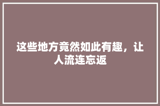 这些地方竟然如此有趣，让人流连忘返 小程序开发