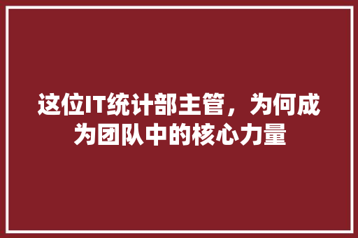 这位IT统计部主管，为何成为团队中的核心力量 头条优化