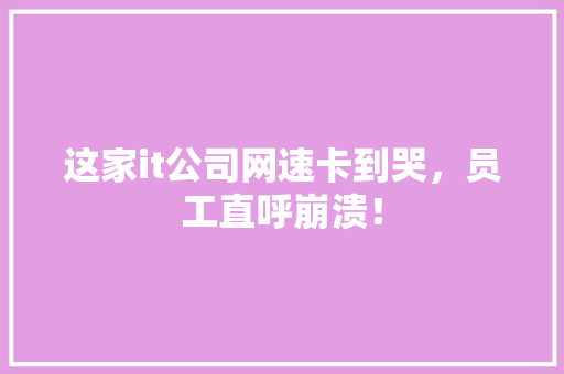 这家it公司网速卡到哭，员工直呼崩溃！