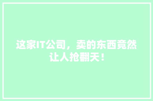 这家IT公司，卖的东西竟然让人抢翻天！ 360搜优化