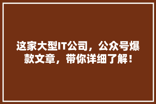 这家大型IT公司，公众号爆款文章，带你详细了解！ 头条优化