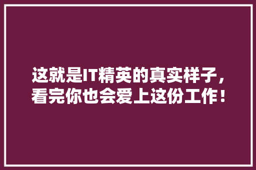 这就是IT精英的真实样子，看完你也会爱上这份工作！ 小程序开发