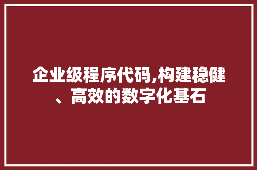 企业级程序代码,构建稳健、高效的数字化基石