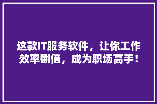 这款IT服务软件，让你工作效率翻倍，成为职场高手！