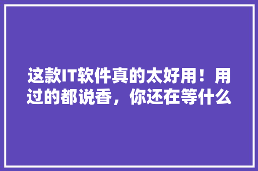 这款IT软件真的太好用！用过的都说香，你还在等什么