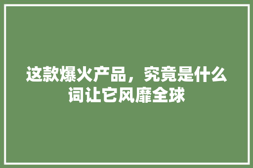 这款爆火产品，究竟是什么词让它风靡全球