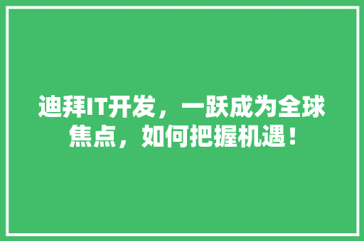 迪拜IT开发，一跃成为全球焦点，如何把握机遇！