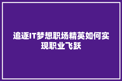 追逐IT梦想职场精英如何实现职业飞跃 网站优化