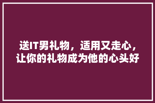 送IT男礼物，适用又走心，让你的礼物成为他的心头好！
