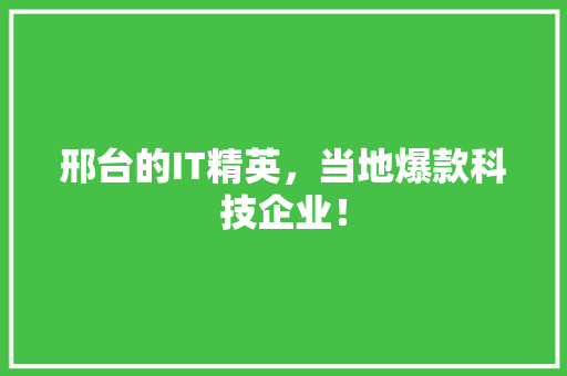 邢台的IT精英，当地爆款科技企业！