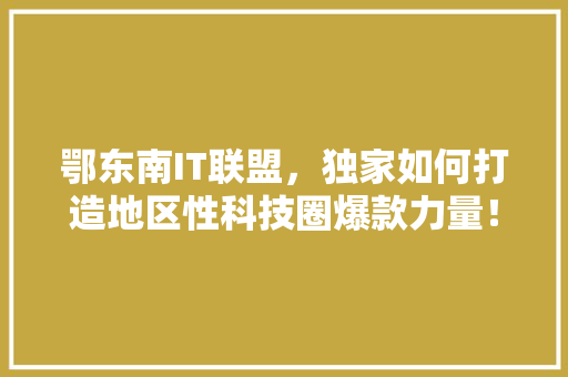 鄂东南IT联盟，独家如何打造地区性科技圈爆款力量！ 网站优化