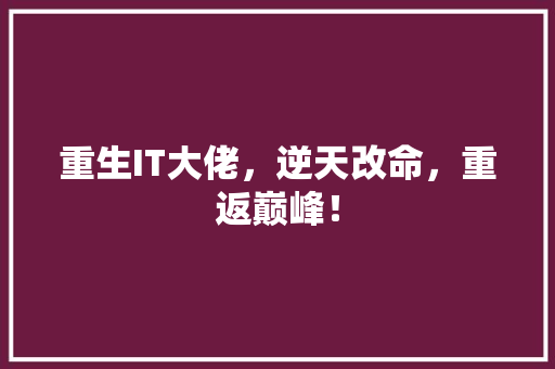 重生IT大佬，逆天改命，重返巅峰！