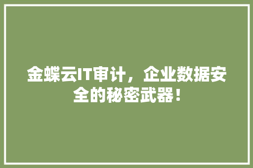 金蝶云IT审计，企业数据安全的秘密武器！