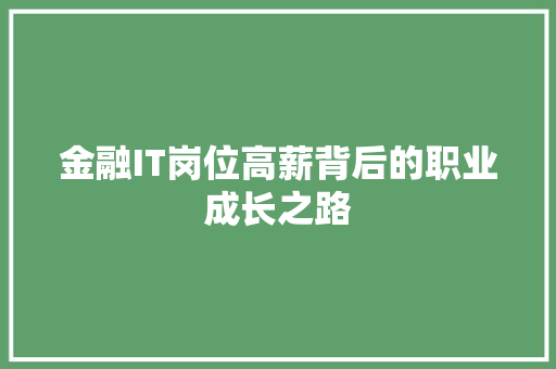 金融IT岗位高薪背后的职业成长之路 360搜优化