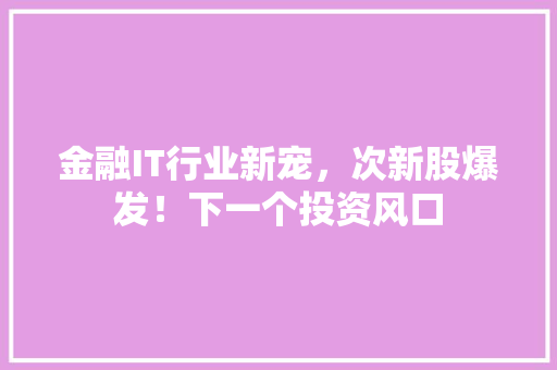 金融IT行业新宠，次新股爆发！下一个投资风口