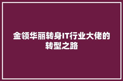 金领华丽转身IT行业大佬的转型之路