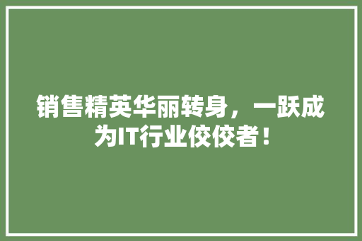 销售精英华丽转身，一跃成为IT行业佼佼者！ seo技术