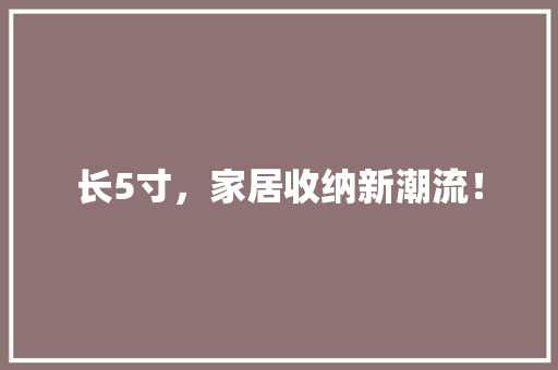 长5寸，家居收纳新潮流！