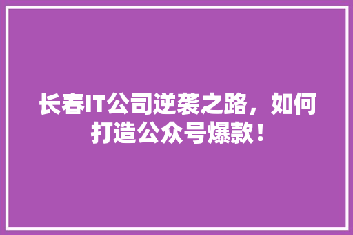 长春IT公司逆袭之路，如何打造公众号爆款！ seo技术