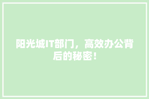 阳光城IT部门，高效办公背后的秘密！ seo技术