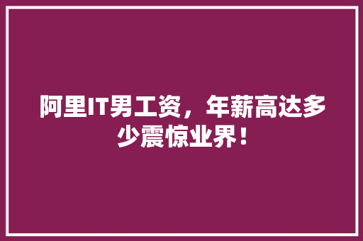 阿里IT男工资，年薪高达多少震惊业界！ 网站优化