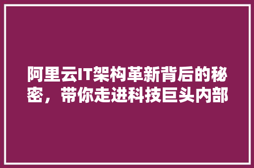 阿里云IT架构革新背后的秘密，带你走进科技巨头内部！ 百度算法