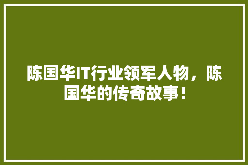 陈国华IT行业领军人物，陈国华的传奇故事！