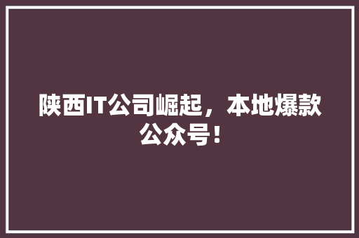 陕西IT公司崛起，本地爆款公众号！ 网站优化
