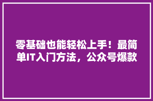 零基础也能轻松上手！最简单IT入门方法，公众号爆款来了！ 网站优化