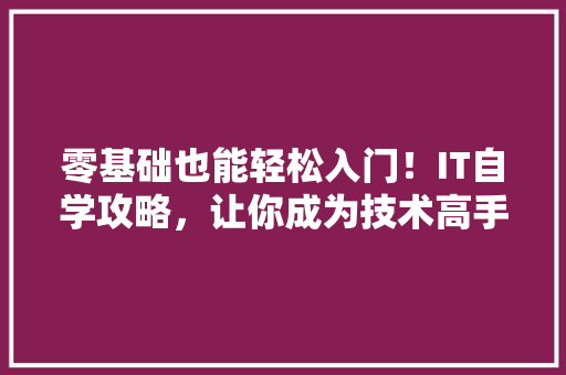 零基础也能轻松入门！IT自学攻略，让你成为技术高手 360搜优化