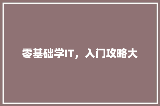 零基础学IT，入门攻略大 小程序开发