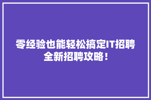 零经验也能轻松搞定IT招聘全新招聘攻略！ 网站优化