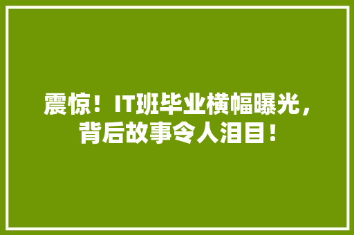 震惊！IT班毕业横幅曝光，背后故事令人泪目！ seo技术