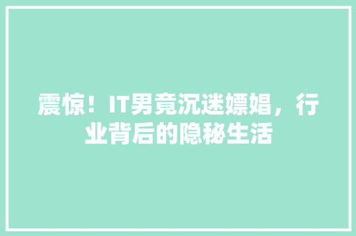震惊！IT男竟沉迷嫖娼，行业背后的隐秘生活 网站优化
