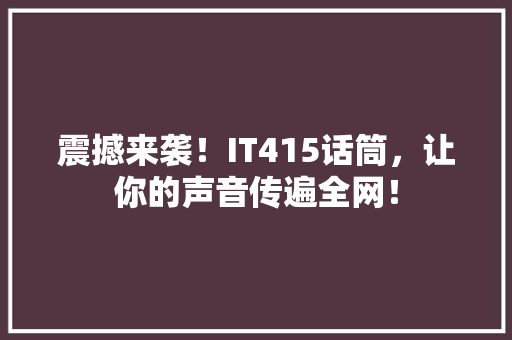 震撼来袭！IT415话筒，让你的声音传遍全网！