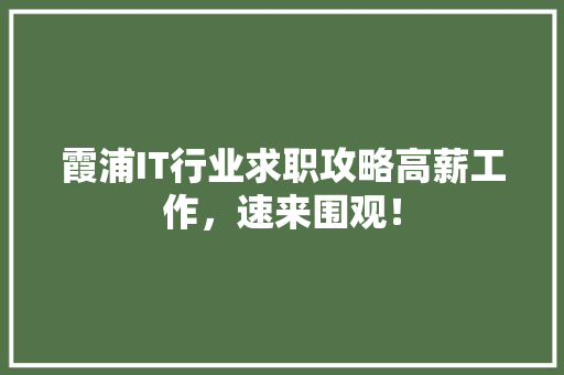 霞浦IT行业求职攻略高薪工作，速来围观！