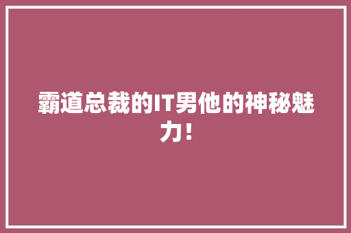 霸道总裁的IT男他的神秘魅力！ 360搜优化