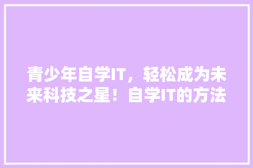 青少年自学IT，轻松成为未来科技之星！自学IT的方法，火爆全网！ 网站优化