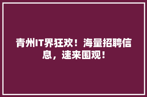 青州IT界狂欢！海量招聘信息，速来围观！
