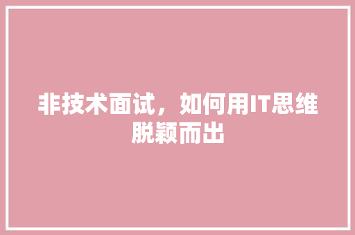非技术面试，如何用IT思维脱颖而出