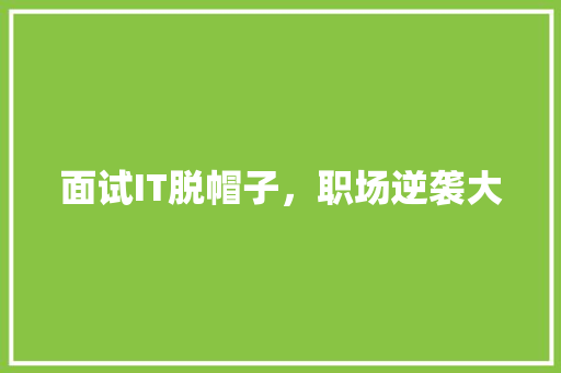 面试IT脱帽子，职场逆袭大 360搜优化