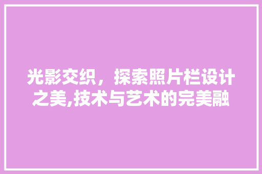 光影交织，探索照片栏设计之美,技术与艺术的完美融合 光影交织，探索照片栏设计之美,技术与艺术的完美融合 网站开发