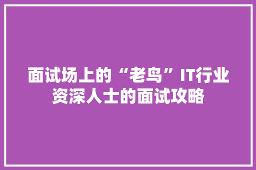 面试场上的“老鸟”IT行业资深人士的面试攻略 网站优化